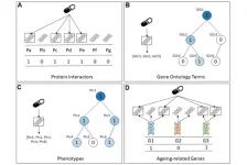 Predicting lifespan-extending chemical compounds for C. elegans with machine learning