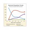 Preemies' gut bacteria may depend more on gestational age than environment 2