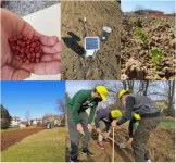 PREPSOIL promotes soil literacy through education