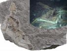 Prequel outshines the original: Exceptional fossils of 160 million year old doahugou biota 2