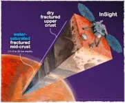 Presence of liquid water most probable explanation for data collected by mars lander 2