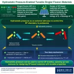 Pressure-based control enables tunable singlet fission materials for efficient photoconversion