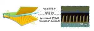 Pressure sensor with high sensitivity and linear response based on soft micropillared electrodes