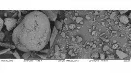 Pretreating nuisance green algae with lye, urea increases bacterial production of biogas