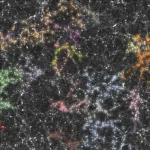 Princeton Chem, IAS uncover spatial patterns in distribution of galaxies