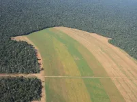 Private lands stalling Brazil’s conservation efforts