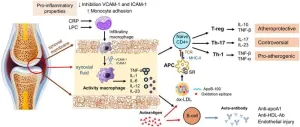 Proatherogenic disorders of blood lipid and lipoprotein metabolism in patients with rheumatoid arthritis