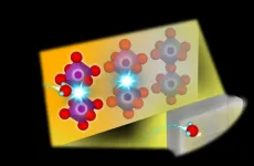 Probe where the protons go to develop better fuel cells