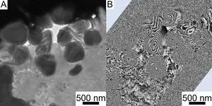 Probing the effects of interplanetary space on asteroid Ryugu 2