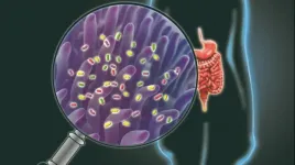 Probiotics or prebiotics? Exploring the complex world of gut health