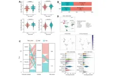 Prognostic significance of senescence-related tumor microenvironment genes in head and neck squamous cell carcinoma