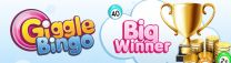 Progressive Jackpot Win at Online Bingo Room