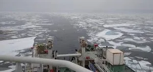 Promising antibiotic candidates discovered in microbes deep in the Arctic Sea 3