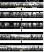 Promising ferroelectric materials suffer from unexpected electric polarizations 3