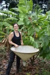 Promoting cacao production without sacrificing biodiversity