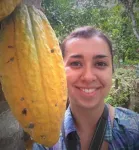 Promoting cacao production without sacrificing biodiversity 3