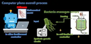 Proof-of-concept method advances bioprocess engineering for a smoother transition to biofuels