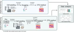 Proof of concept study shows improvements for personalized drug testing