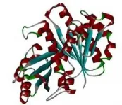 Proposing a new drug to treat tuberculosis utilizing state-of-the-art computer simulations