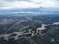 Protecting nature can safeguard cities from floods