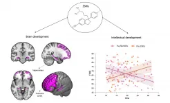 Protecting the intellectual abilities of people at risk for psychosis