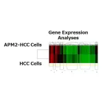 Protein based biomarker identifies the chemo drug sensitivity