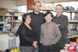 Protein behind development of immune system sentinels identified