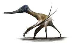 Pterosaurs needed feet on the ground to become giants