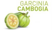 Pure Garcinia Cambogia Extract With 50% HCA Properties to Boost the Weight Loss Process