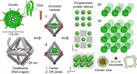 Putting functional proteins in their place