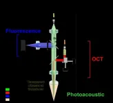 Quadruple fusion imaging via transparent ultrasound transducer