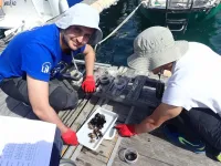 Quantifying the level of pollution in marinas