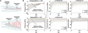 Quantum computing and machine learning are effective tools in fluid dynamics