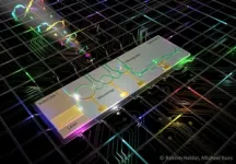 Quantum light source goes fully on-chip, bringing scalability to the quantum cloud 3