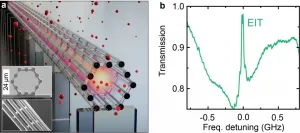 Quantum-optically integrated light cage on a chip