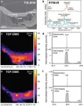 Quantum research breakthrough uses synthetic dimensions to efficiently process quantum information 3