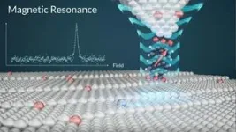 Quantum sensor for the atomic world developed through international scientific collaboration 2