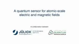 Quantum sensor for the atomic world developed through international scientific collaboration 3