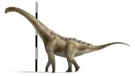 Qunkasaura: New sauropod dinosaur from the Cretaceous discovered in the Iberian Peninsula 3