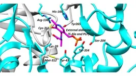 Racemases: The hunt for drugs to neutralise these critical enzymes