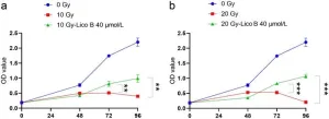 Radioprotective effects of licochalcone B: DNA protection, cytokine inhibition, and antioxidant boost