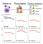 Rapid lifestyle changes during early COVID-19 pandemic had no impact on climate change