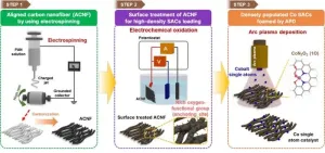 Rapid removal of emerging endocrine disruptors in wastewater using high-performance single-atom catalysts