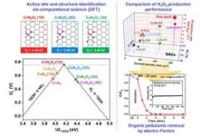 Rapid removal of emerging endocrine disruptors in wastewater using high-performance single-atom catalysts 3