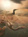 Rare bird skull from the age of dinosaurs helps illuminate avian evolution