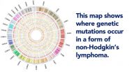 Rare, deadly lymphoma demystified 2