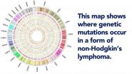 Rare, deadly lymphoma demystified 3