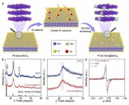 Rare earth single atoms enhance manganese oxide's electrochemical oxygen evolution