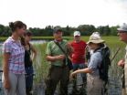 Rare Pennsylvania fungus is named for Philadelphia botanist