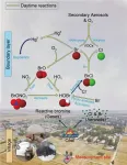 Reactive halogen from domestic coal burning aggravates winter air pollution